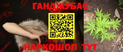 индика Заводоуковск