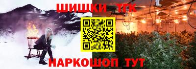 индика Заводоуковск
