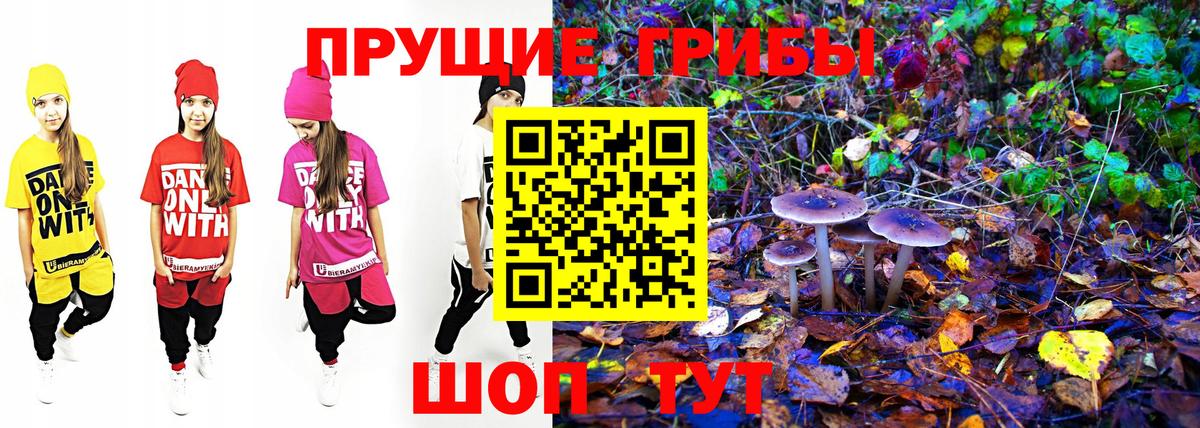 Луга  Галлюциногенные грибы ЛСД  Вход с VPN 