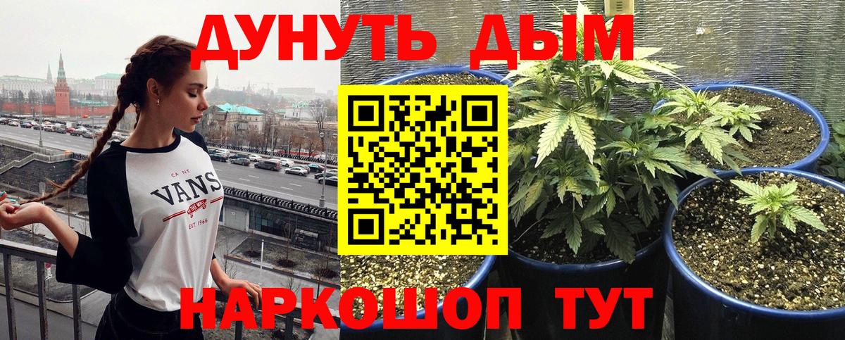 Конопля индика  Марихуана конопля  Вход с VPN  Луга 